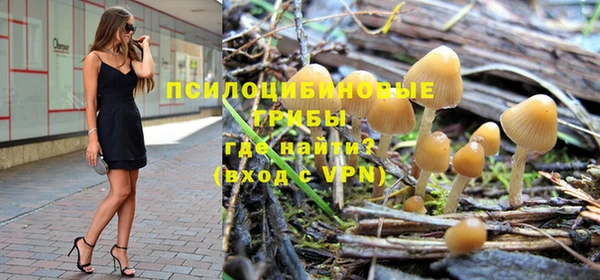 стаф Нязепетровск