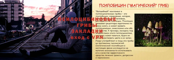 таблы Алексеевка
