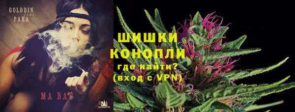 винт Алексин