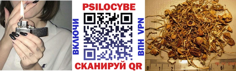что такое Наволоки Псилоцибиновые грибы MAGIC MUSHROOMS